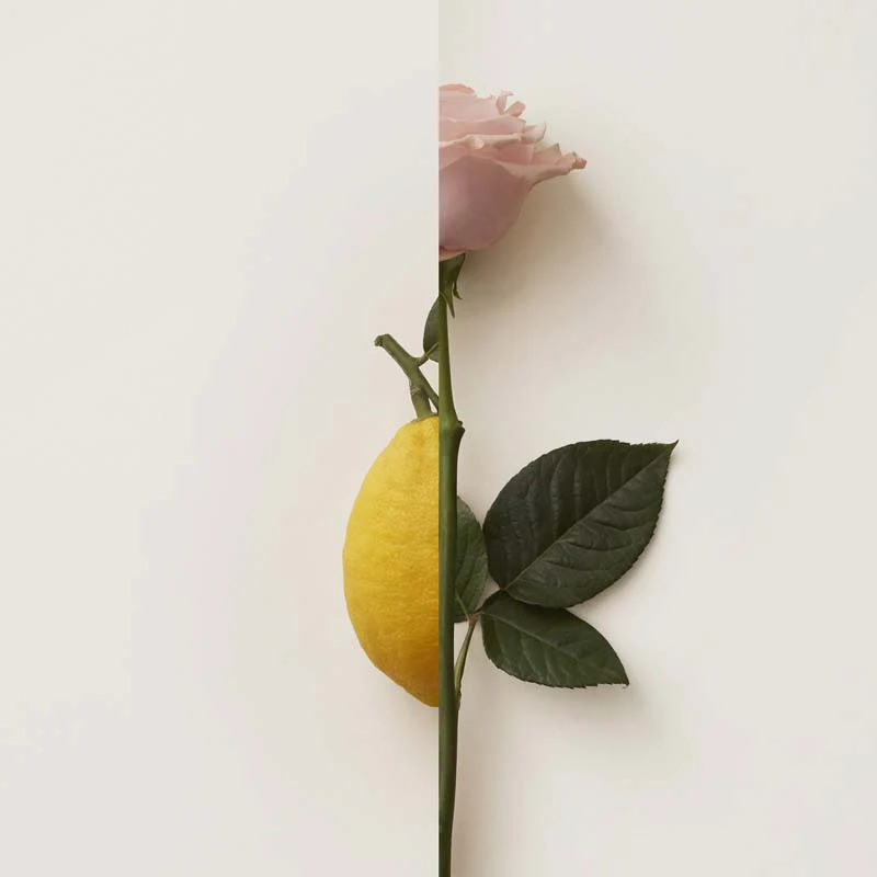 Immagine prodotto 9