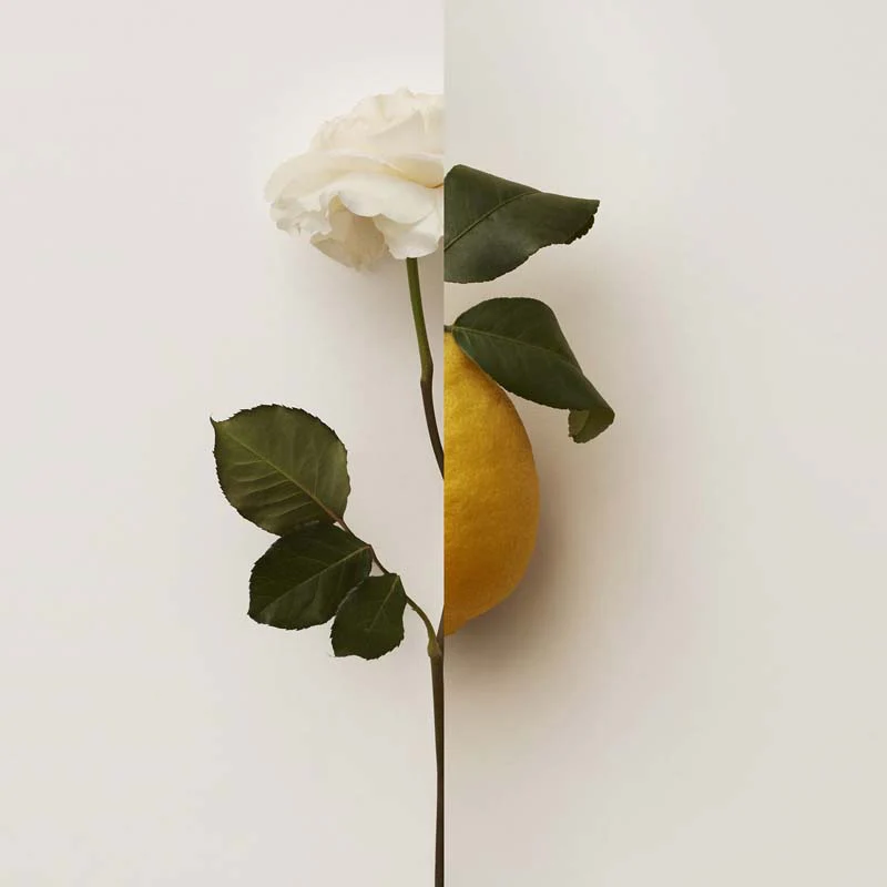 Immagine prodotto 10